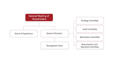 hikvision corporate governance